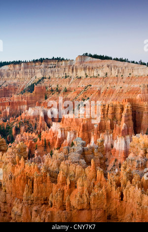 sehen Sie Bryce Canyon vom Sunrise Punkt kurz vor Sonnenaufgang, USA, Utah, Bryce-Canyon-Nationalpark, Colorado-Plateau Stockfoto