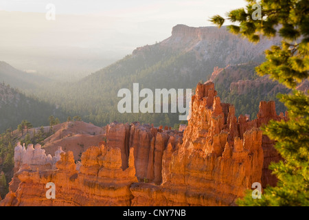 Felsformationen des Bryce Canyon im Morgenlicht, USA, Utah, Bryce-Canyon-Nationalpark, Colorado-Plateau Stockfoto