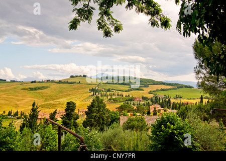 Panoramablick über die typische Hügellandschaft mit Wiesen, Feldern und Wäldern, einzelne Häuser und Zypressen, Italien, Toskana, Monticchiello Stockfoto