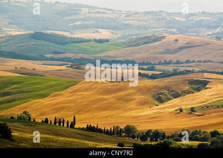 Panoramablick über die typische Hügellandschaft mit Wiesen, Feldern und Wäldern, einzelne Häuser und Zypressen, Italien, Toskana, Monticchiello Stockfoto