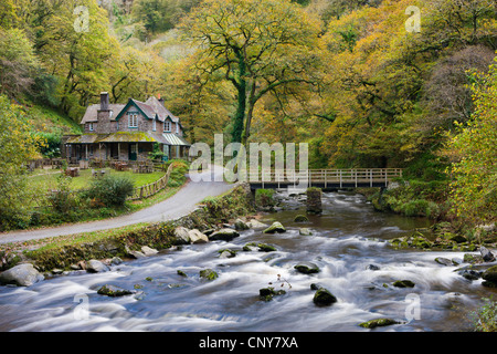 Watersmeet Haus im Herbst, Exmoor National Park, Devon, England Stockfoto