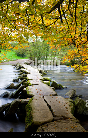 Tarr Steps Klöppel Brücke im Herbst, Exmoor National Park, Somerset, England Stockfoto