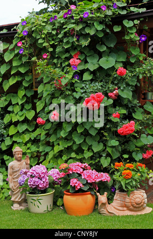Sommerhaus mit Blumen und Gartenfiguren, Deutschland Stockfoto