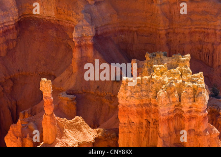 bunte erodierten Felsformationen, USA, Utah, Bryce-Canyon-Nationalpark, Colorado-Plateau Stockfoto