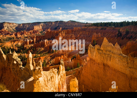 Blick von Queens Garden Trail auf Felsformationen des Bryce Canyon, USA, Utah, Bryce-Canyon-Nationalpark, Colorado-Plateau Stockfoto