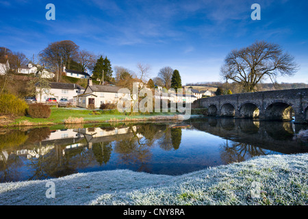 Frost Teppiche am Ufer des River Barle bei Withypool im Exmoor National Park, Somerset, England. Dezember 2008 Stockfoto