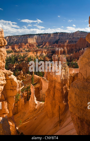 Blick von Queens Garden Trail auf Felsformationen des Bryce Canyon, USA, Utah, Bryce-Canyon-Nationalpark, Colorado-Plateau Stockfoto