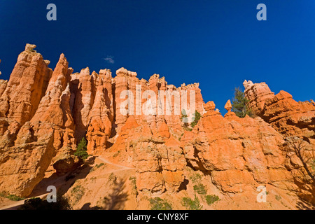 ausgewaschene Felsformationen, Hoodoos im Bryce Canyon, USA, Utah, Bryce-Canyon-Nationalpark, Colorado-Plateau Stockfoto