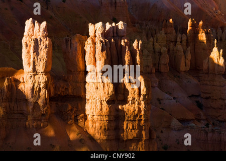 seltsam geformte Felsformationen, Hoodoos im Licht der Nachmittagssonne, USA, Utah, Bryce-Canyon-Nationalpark, Colorado-Plateau Stockfoto