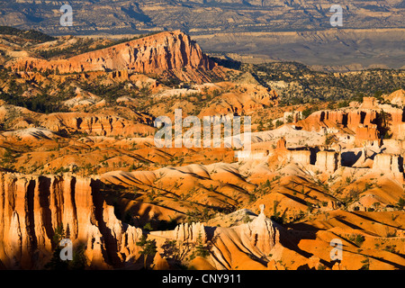 Blick vom Sunset Point zum Hoodoos "Sinking Ship" der Bryce Canyon am Abend Licht, USA, Utah, Bryce-Canyon-Nationalpark, Colorado-Plateau Stockfoto