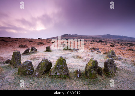 Stone Circle Cairn auf Dartmoor, bekannt als die neun Mädchen und siebzehn Gebrüder, Belstone gemeinsamen Dartmoor Stockfoto