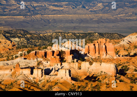 Blick vom Sunset Point auf Hoodoos und seltsam geformten Felsformationen des Bryce Canyon am Abend Licht, USA, Utah, Bryce-Canyon-Nationalpark, Colorado-Plateau Stockfoto