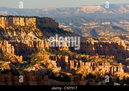 Blick vom Sunset Point auf Hoodoos und seltsam geformten Felsformationen des Bryce Canyon am Abend Licht, USA, Utah, Bryce-Canyon-Nationalpark, Colorado-Plateau Stockfoto