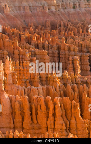 Blick vom Inspiration Point auf seltsam geformten Hoodoos "Stille Stadt" im Morgenlicht, USA, Utah, Bryce-Canyon-Nationalpark, Colorado-Plateau Stockfoto