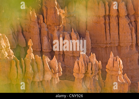 Blick durchs grüne Blätter, seltsam geformte Felsformationen des Bryce Canyon im Morgenlicht, USA, Utah, Bryce-Canyon-Nationalpark, Colorado-Plateau Stockfoto