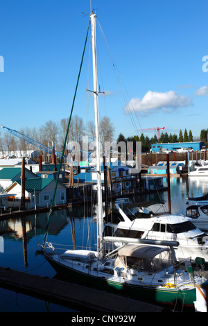 Festgemachten Segelbooten in einer Marina Portland Oregon. Stockfoto