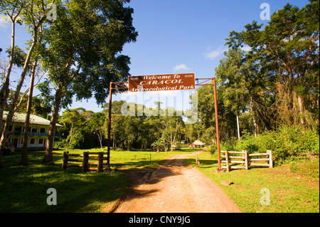 Maya-Ruinen von Caracol, belize Stockfoto