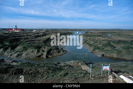 Tollesbury Sümpfe - Essex Stockfoto