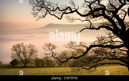 Eine dicke Schneedecke am frühen Morgennebel deckt die Landschaft unter Mynydd Troed in den Brecon Beacons National Park, Powys, Wales. Stockfoto