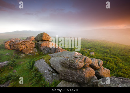 Sonnenuntergang und neblige Bedingungen auf der Heide in der Nähe von Haytor, Dartmoor National Park, Devon, England. Sommer (Juli) 2010. Stockfoto