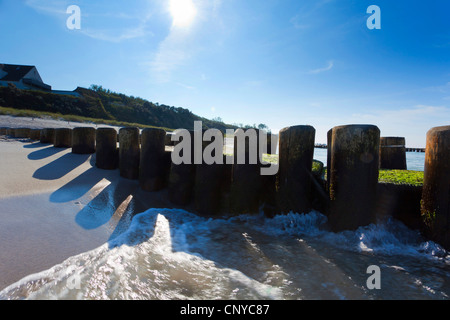 Buhne in Ahrenshoop, Darß, Mecklenburg-Vorpommern, Ostseeküste, Deutschland Stockfoto