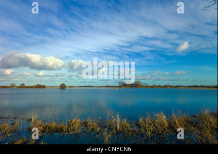 überschwemmten Wiesen des Flusses Hamme, Blick nach Worpswede und Weyerberg, Deutschland, Niedersachsen, Osterholz Stockfoto