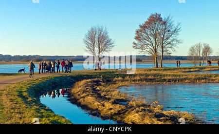 überschwemmten Wiesen in der Nähe von Hamme Fluss, Worpswede, Osterholz, Niedersachsen, Deutschland Stockfoto