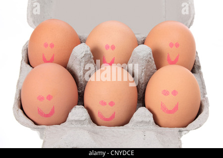 Eiern auf Karton Stockfoto