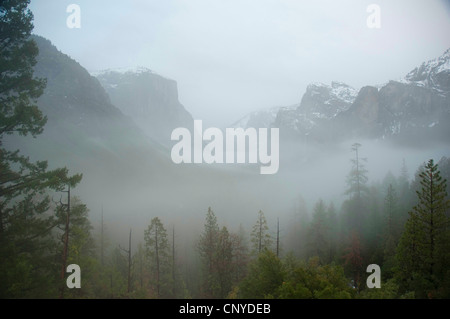 Nebel im Yosemite Valley mit El Capitan und Bridal Veil Falls, USA, Kalifornien, Yosemite-Nationalpark Stockfoto