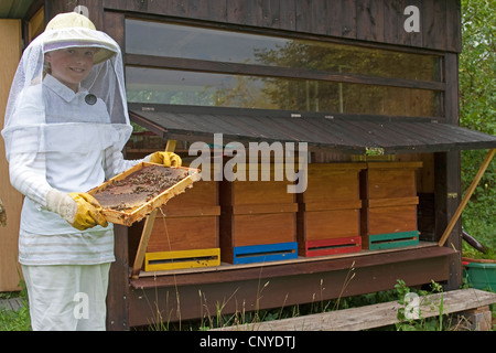 Honigbiene, Bienenkorb Biene (Apis Mellifera Mellifera), Mädchen in der Imker Kleidung Steuerung Waben, Deutschland Stockfoto