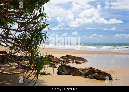 Noah Beach, Australien, Queensland, Daintree Nationalpark Stockfoto