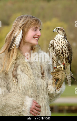 Sakerfalken (Falco Cherrug), auf dem Arm einer jungen Frau Stockfoto