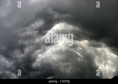 Verwirbelung der Gewitterwolke (Cumulonimbus Capillatus Incus), Deutschland, Nordrhein-Westfalen Stockfoto