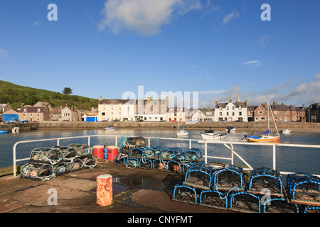 Hummer-Töpfe am Kai der kleine Fischerhafen und Hafen von Stonehaven, Aberdeenshire, Schottland, UK. Stockfoto