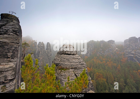 Bastei-Rock-Formation in der Nähe von Rathen, Deutschland, Sachsen, Nationalpark Sächsische Schweiz Stockfoto