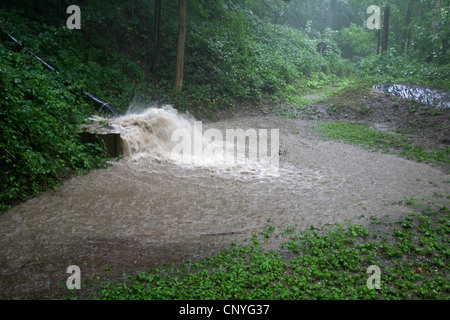 Masse des Wassers Überschwemmungen ein Regenwasser-Rückhaltebecken, Deutschland, Nordrhein-Westfalen Stockfoto