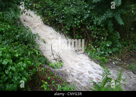 Masse des Wassers Überschwemmungen ein Regenwasser-Rückhaltebecken, Deutschland, Nordrhein-Westfalen Stockfoto