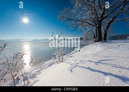 winterlichen Sonnenaufgang am See Poehl, Deutschland, Sachsen, Vogtland Stockfoto