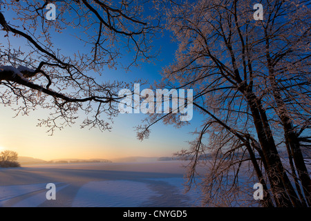 winterlichen Sonnenaufgang am See Poehl, Deutschland, Sachsen, Vogtland Stockfoto
