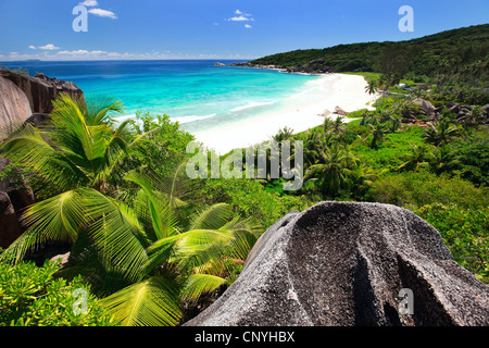 Blick auf Grand Anse Strand, Seychellen, La Digue Stockfoto