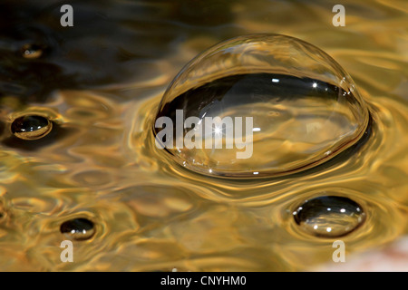 Luftblase auf einem Teich Stockfoto