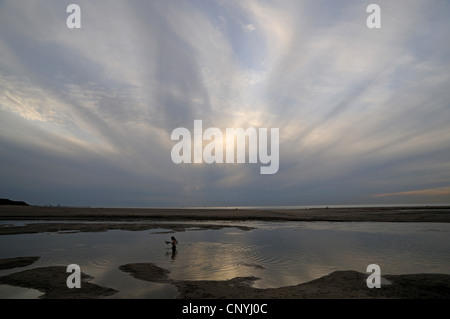 Junge mit Kescher Angeln am Strand am Abend, Niederlande, Cadzand Stockfoto