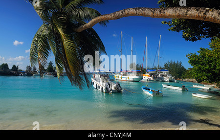 Hafen von La Passe, Seychellen, La Digue Stockfoto