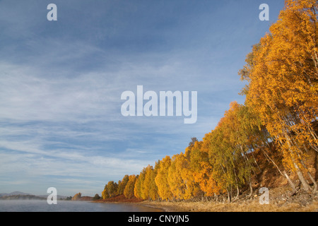 herbstlichen Morgendämmerung über Loch Insh, Großbritannien, Schottland, Cairngorms National Park Stockfoto