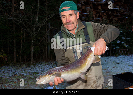 Marmorata (Salmo Trutta), Arbeiter von einer Fischfarm in Händen hält, lange rogner Stockfoto