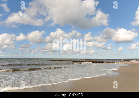 Ostseeküste mit Sporn Deich, Deutschland, Mecklenburg-Vorpommern Stockfoto