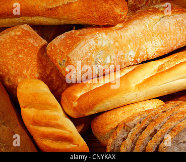 Frisch gebackenes Brot Hintergrund, Vielzahl von verschiedenen Arten von Brot, Lebensmittel-Industrie Stockfoto