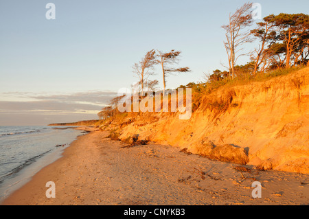 Strand im Abendlicht, Deutschland, Mecklenburg Vorpommern, Western Region Nationalpark Vorpommersche Stockfoto