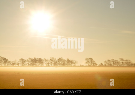 Sonnenaufgang mit Morgennebel über Feld Landschaft, Deutschland, Mecklenburg-Vorpommern Stockfoto