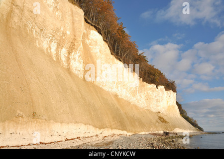 Kreide Kliffküste, Deutschland, Mecklenburg-Vorpommern, Nationalpark Jasmund Stockfoto